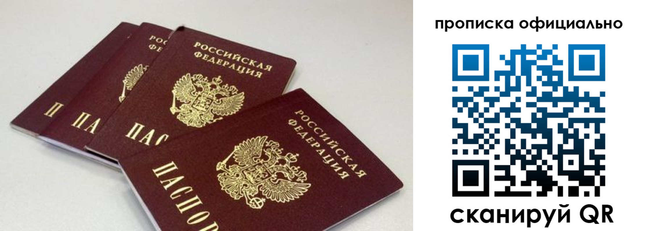 временная регистрация надежно в Малой Вишере